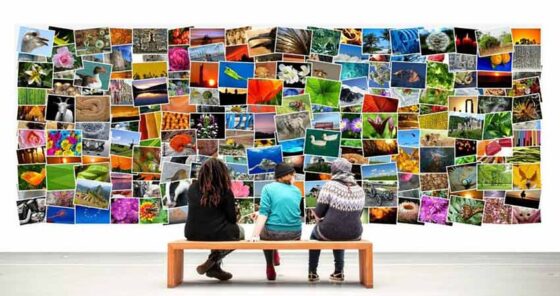 Imágenes  Sin Copyright Gratis, Sin Derechos de Autor